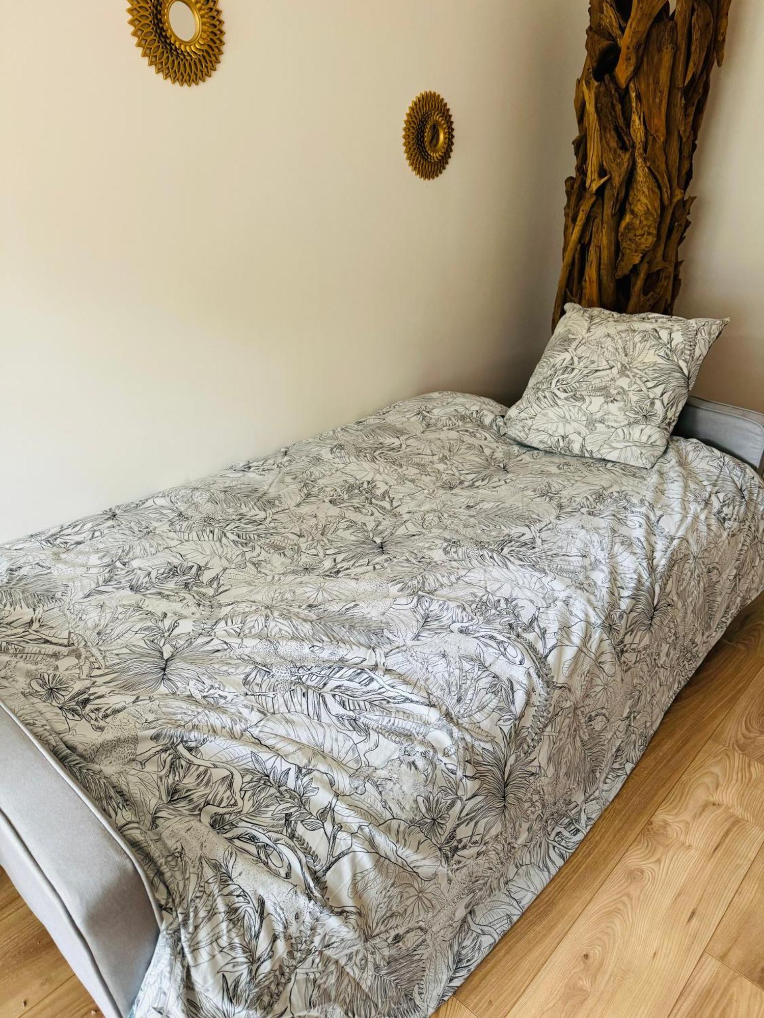 Bel Appartement Proche Parc & Lac Ρεν Εξωτερικό φωτογραφία